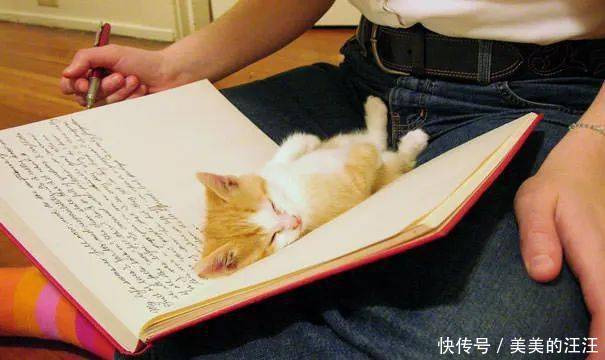 看什么书看书,难道我还没有书好看吗