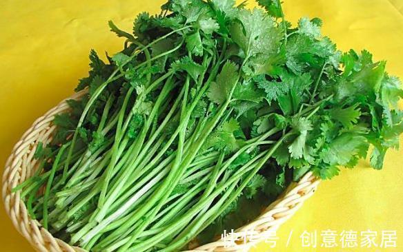 冬病夏治|香菜与它是天生的“敌人”,不能一起食用,可惜知道的人太少了!