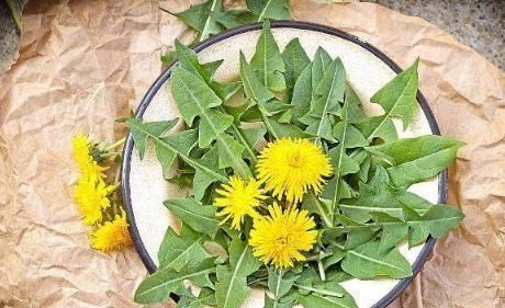 红薯叶|肝不好的人,多吃3种“叶”,护肝排毒,最后一种常被当垃圾扔掉