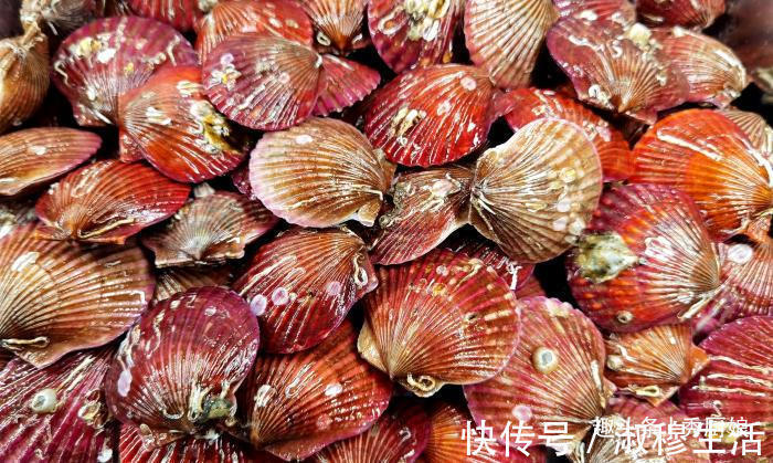 鲜嫩|蒸扇贝时,记得不要加水蒸,海边人教你正确做法,鲜嫩美味还不腥