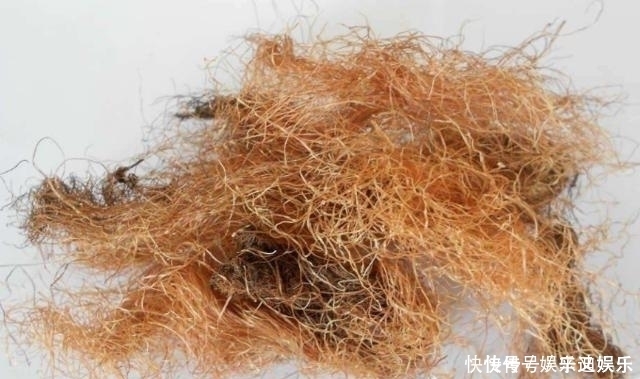 馬齒莧|濕氣的“殺手”終于來(lái)了，不是紅豆薏米，早晚吃點(diǎn)，濕氣不攻自破