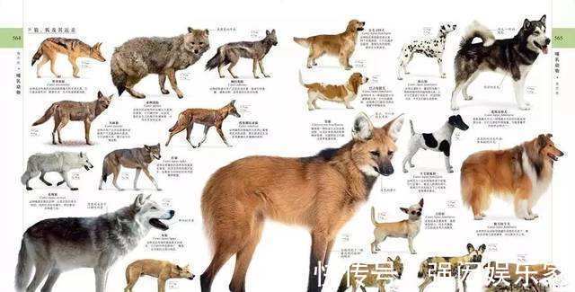 一本好书!给你一扇窗,看看这世界的模样!(科普童书推荐)