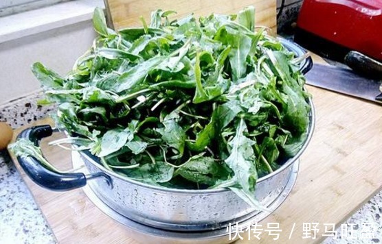 丹参|女人常用3味中药泡水喝，子宫干净又温暖，妇科炎症不来找