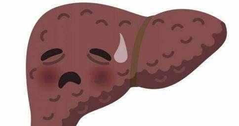 肝脏|肝不好的人, 这几种食物坚持吃, 清肝火排肝毒, 肝越来越好