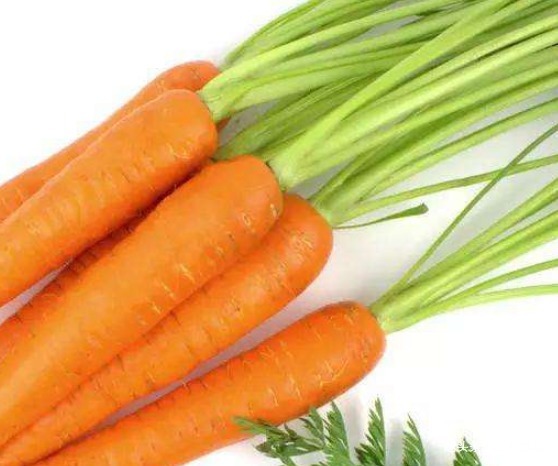 小人参|吃胡萝卜后要留意,不要与三物搭配,不然吃出一身病,告诉家人