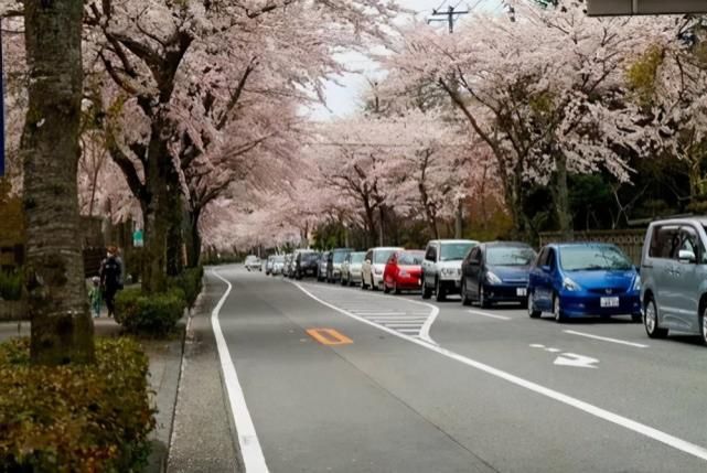 它是亚洲最破大学宿舍，男女混住狭小拥挤，诺贝尔得主却诞生于此