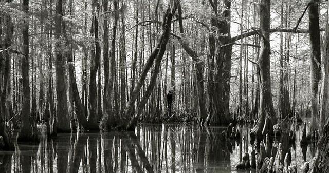 世上有没有鬼碰到了怎么办曾仕强疑心生暗鬼,心正鬼则亡