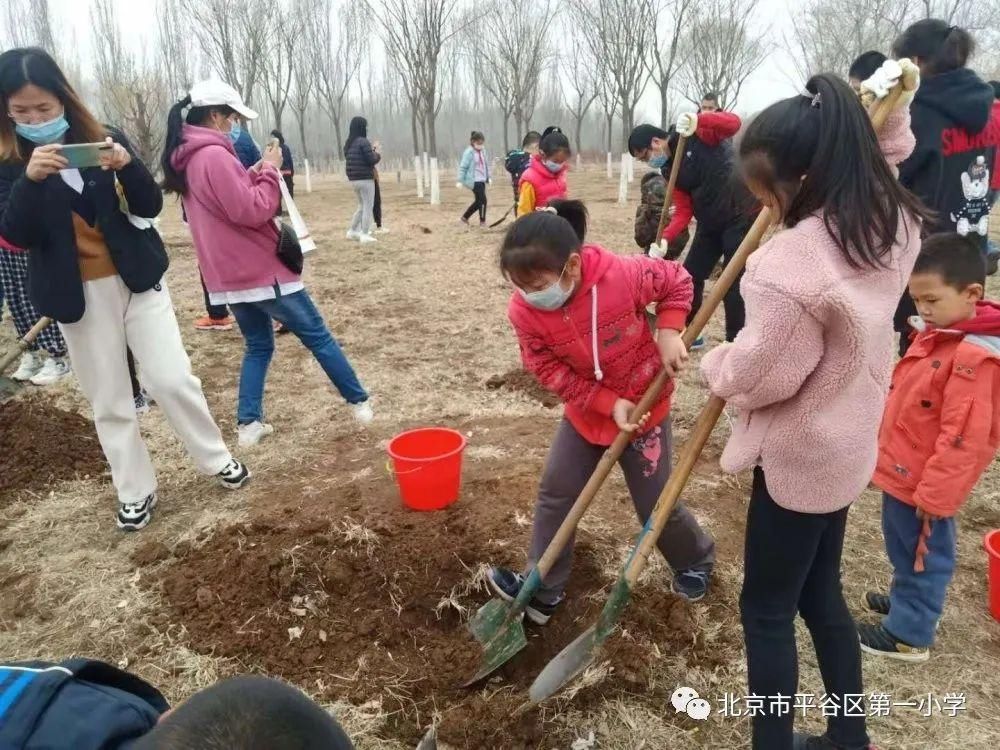 班级|【微盟推荐】多彩校园——劳动教育周