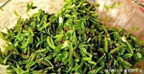 中国公认最好吃的7大野菜，你若是全吃过，请收下我的“膝盖”