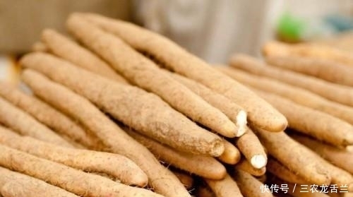 胃病|胃病久治不愈怎么办? 每天常吃这几种天然“养胃王”, 养胃护胃