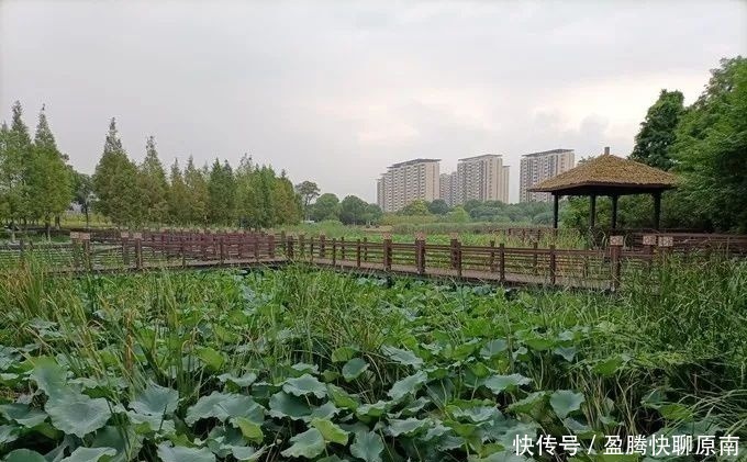 景点|独墅湖生态公园，闹市中的一块桃源