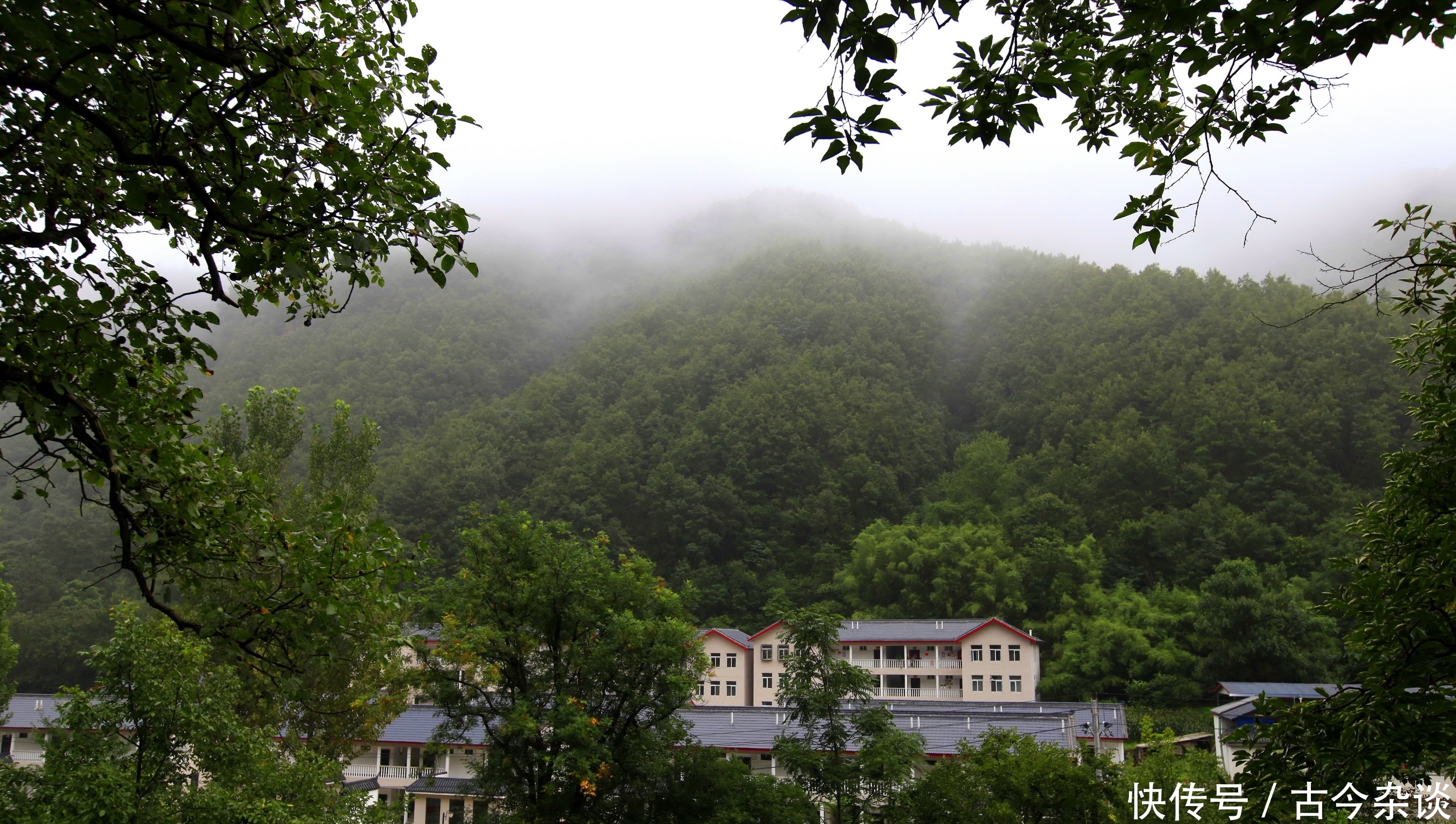 河南洛阳深藏的绝美山水景点，与老君山同出一脉，景色不差价格低