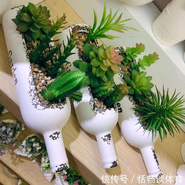 喝完饮料的瓶子不要丢，切一刀，扎三个孔，用来养花省钱又环保