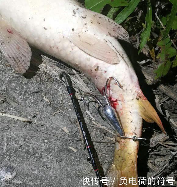 钓鱼|男子在湘江用“可视化锚鱼”几十斤的大鱼接连的上岸,网友能钓光湘江的鱼