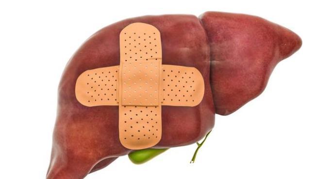 养肝|李兰娟早晨是养肝“黄金期”，常吃4种早餐，或可以帮助养肝护肝