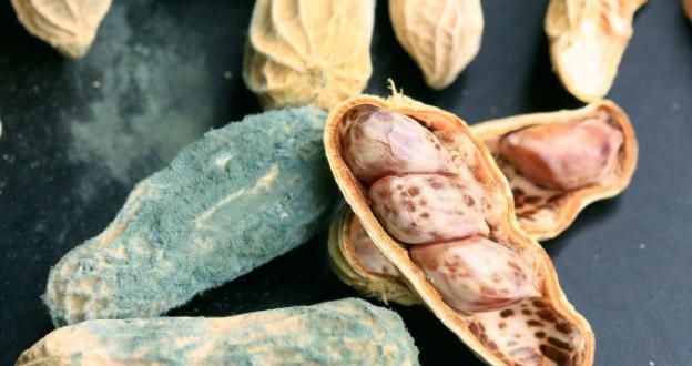  南瓜|煮粥时不能放四种食物，最后一种相当于'下毒'，很多人都不清楚！