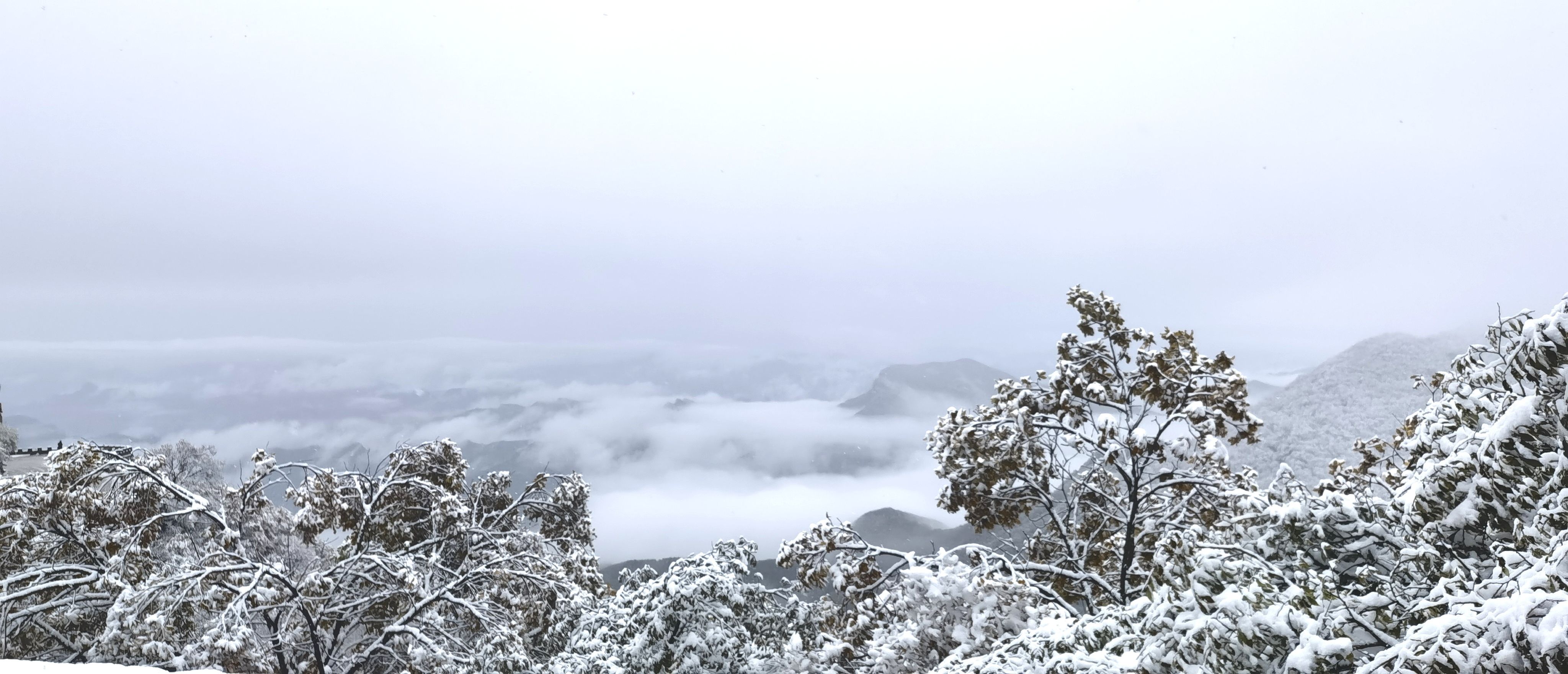 百花山|雪景与云海“同框”！今天的百花山美如仙境