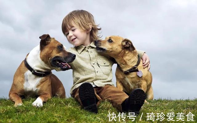 小男孩|白鲸张开“血盆大口”吓哭孩子,专业抢镜20年,一看就不正经