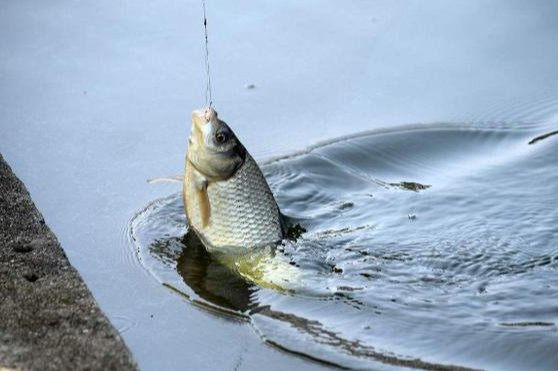 两种经典实用的水库带饵调漂法，必收藏！