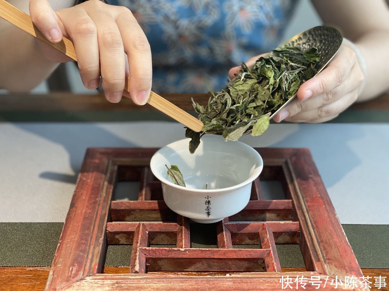 选茶|白茶要怎么冲泡才好？从选茶，到选器，择水，水温，教程很细致