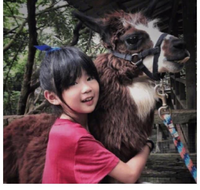 吴速玲|《爸爸去哪儿》中萌娃长大了，曹格晒女儿近照, 变化巨大