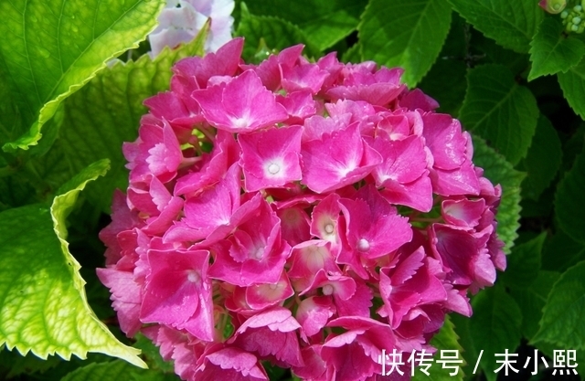 3星座|5天以后,一切都顺利的3星座,将会喜迎好兆头,家中财运上涨