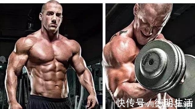 弯举|手臂要想练得粗，你应该这么练，正确的动作才能更好地带你变粗