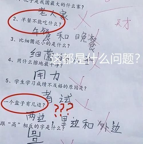 小学生|小学生作业“连一连”火了，老师打叉却遭网友回怼这题哪错了