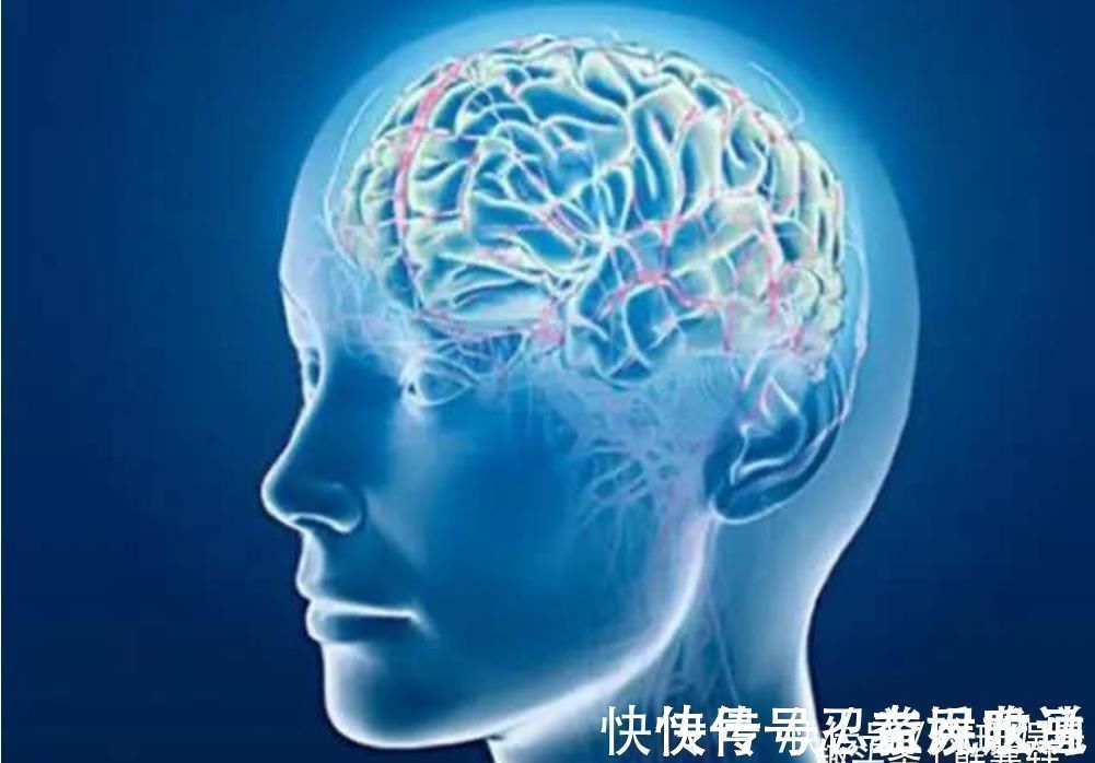 科学家|科学家发现计算机要40分钟，而人类只需一秒就能完成任务