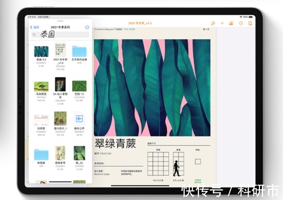 游戏机|别被苹果骗了!iPad mini6真不值得买