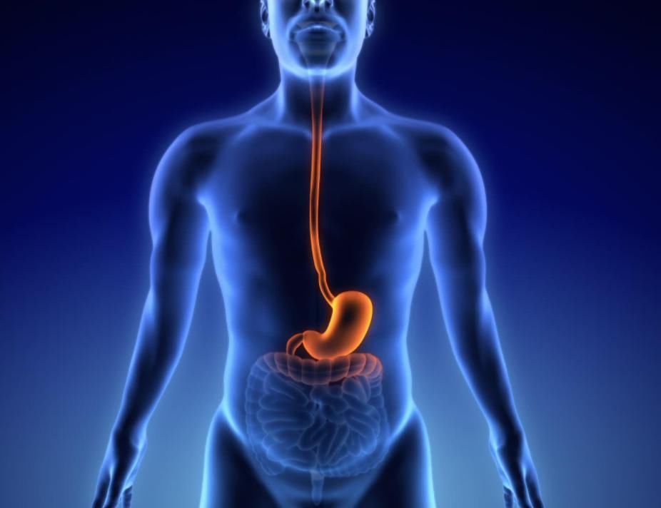 烤馒头片|养胃食物榜单公布:面条第3、小米粥第2,第一名你可能不知道