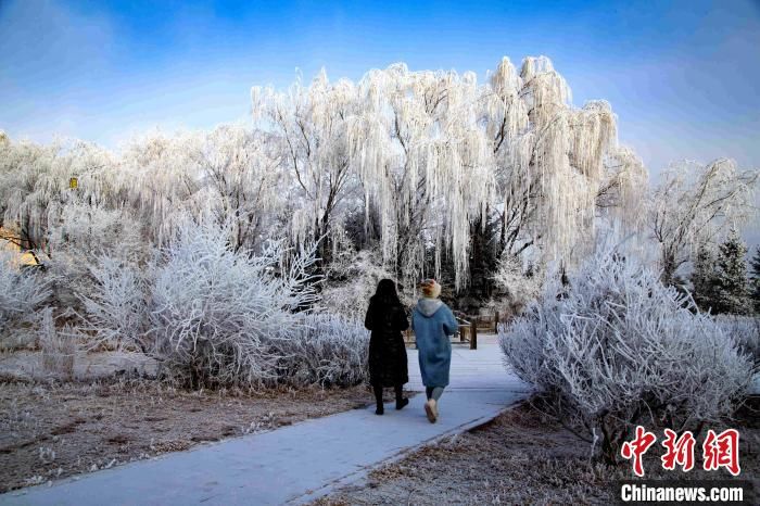 下雪景|2022年首场降雪 来看六盘山下的“水墨画”