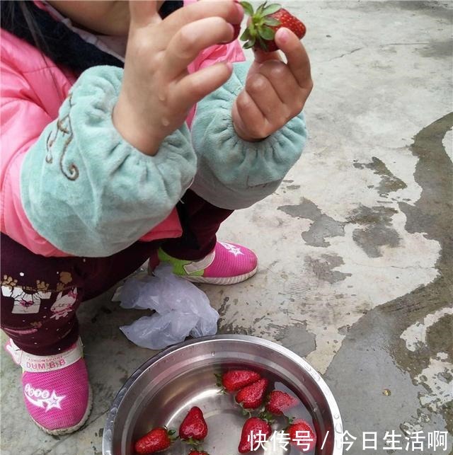 5岁孙女阻止奶奶买草莓,得知原因后,老人回家后怒斥儿子!