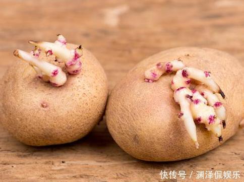 学会|才知道,保存土豆这么简单,学会3个土方法,久放不变绿不发芽