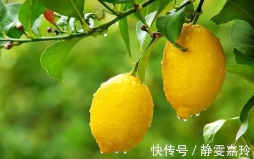 食物|58岁男子,甘油三酯从20到1.7,专家:一种食物经常吃,血管自清