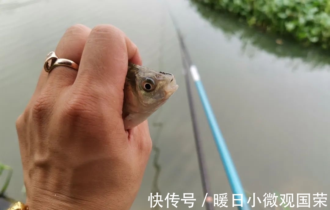 新手|新手真的不用学调漂吗？给你几个实用的建议，看完后不再迷茫