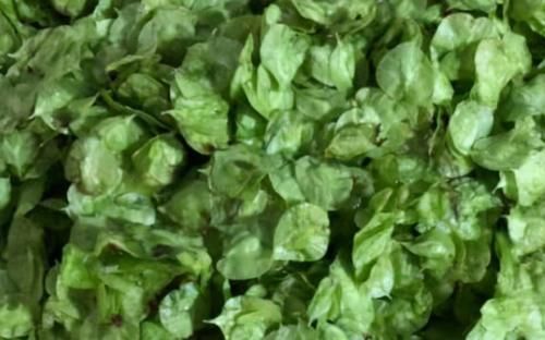 清肠排毒|8月秋季每天坚持吃3种食物，排毒养颜，改善体质，早吃早健康！