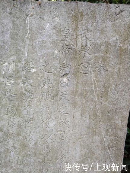 错过|快来一起赏“梅”景！去年没约成，今年别错过啦