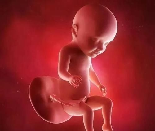 受精卵|怀孕1~10个月,胎儿发育变化全过程!想“修炼成人”还得过四关