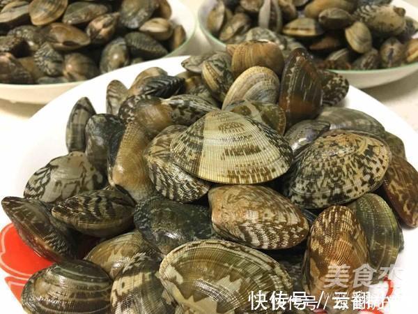 蛤蜊|比鱼还鲜，比肉还贵，1斤20块，常吃身体好，可惜知道的人不多