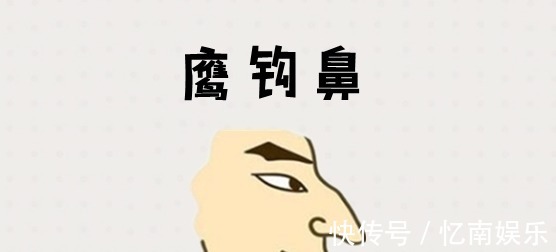 运势|你的鼻子什么样就是什么命？有钱人的鼻子长什么样？