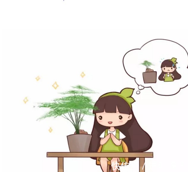 养殖|想要办公室养眼有亮色,这几种“必种”植物不能少,你有吗