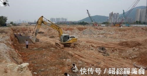 镇馆之宝!国家一级文物被丢路旁,三十天无一人“识货”,鉴定后成镇馆之宝