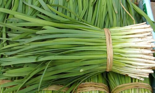 好处|常吃韭菜有着不少好处,但切忌与一物同食,偏偏却有很多人犯错误