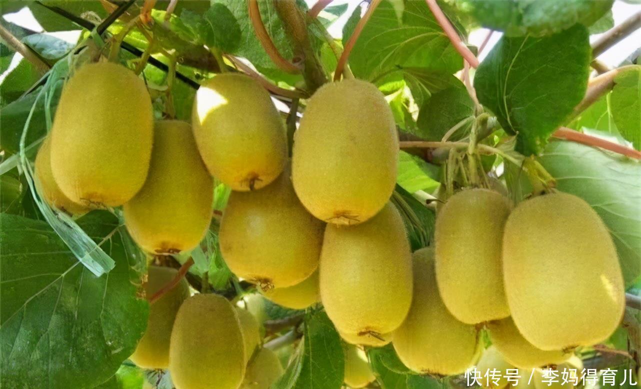 女性|对身体很好的3种养生菜,女性不妨常吃,养护血管,增强体质