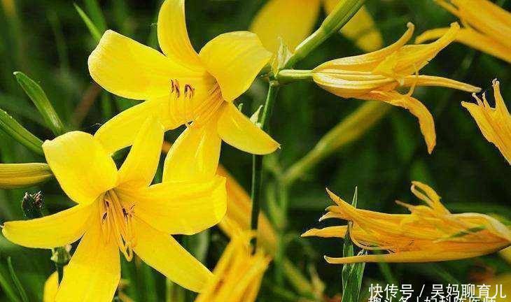 可溶性纤维|每天坚持吃3种食物，补血养颜，健脾养肝，早吃早长寿！