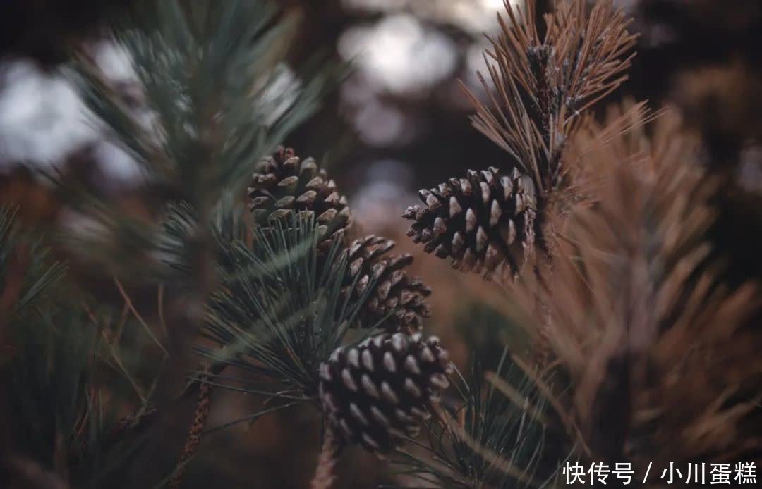 你若大气,必有福气