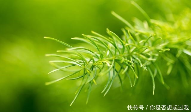 懂得宽容别|做人要厚道(经典)