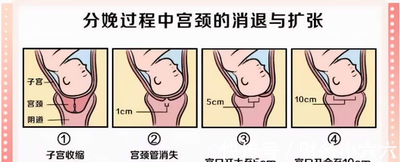 疼痛|人类分娩究竟有多痛?为什么动物分娩那么轻松,人类却痛不欲生?