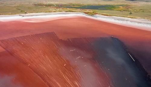 网友|火车驶入粉色盐湖，俄版《千与千寻》如此唯美